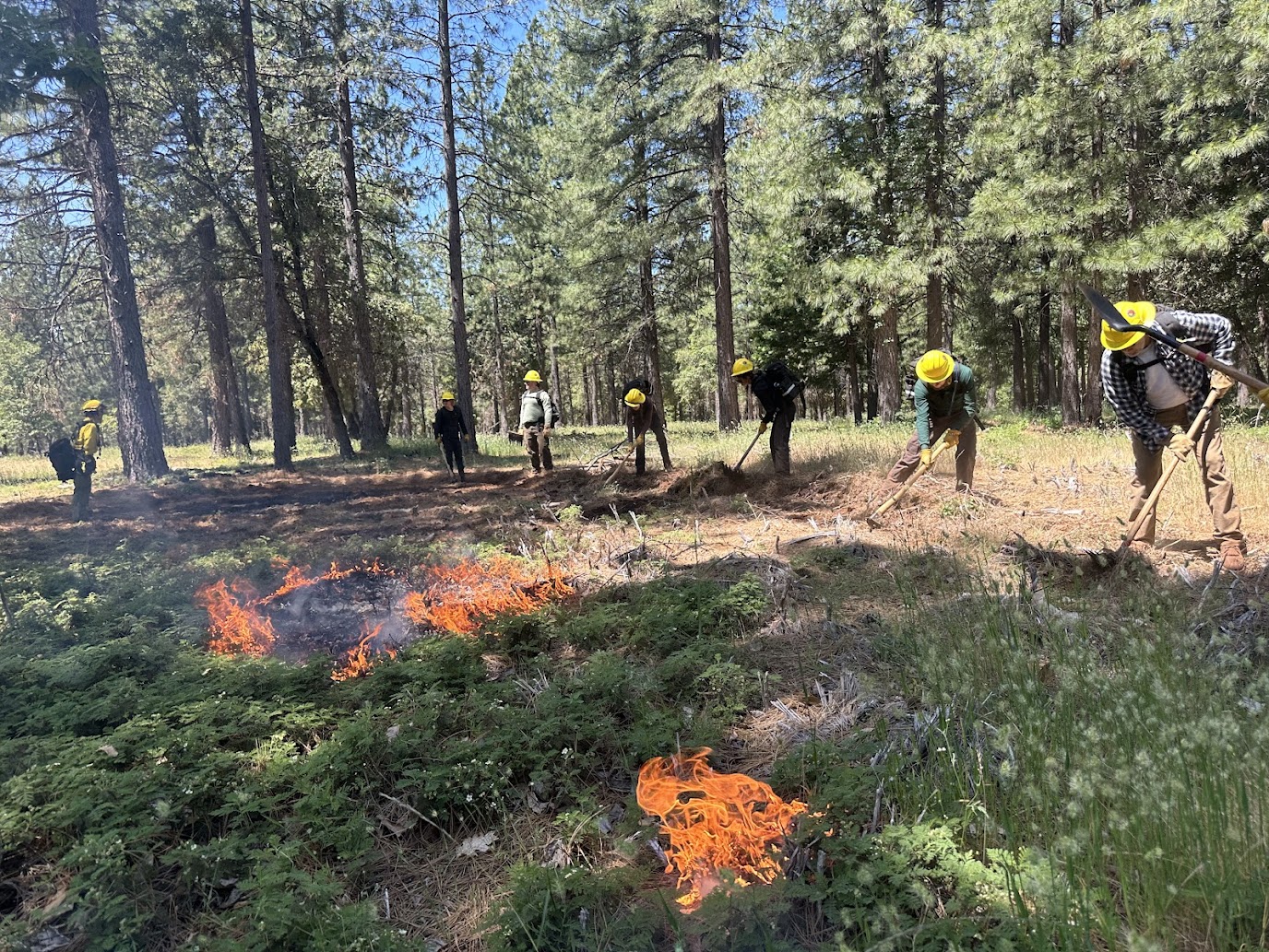Workforce Development and Prescribed Fire Training 