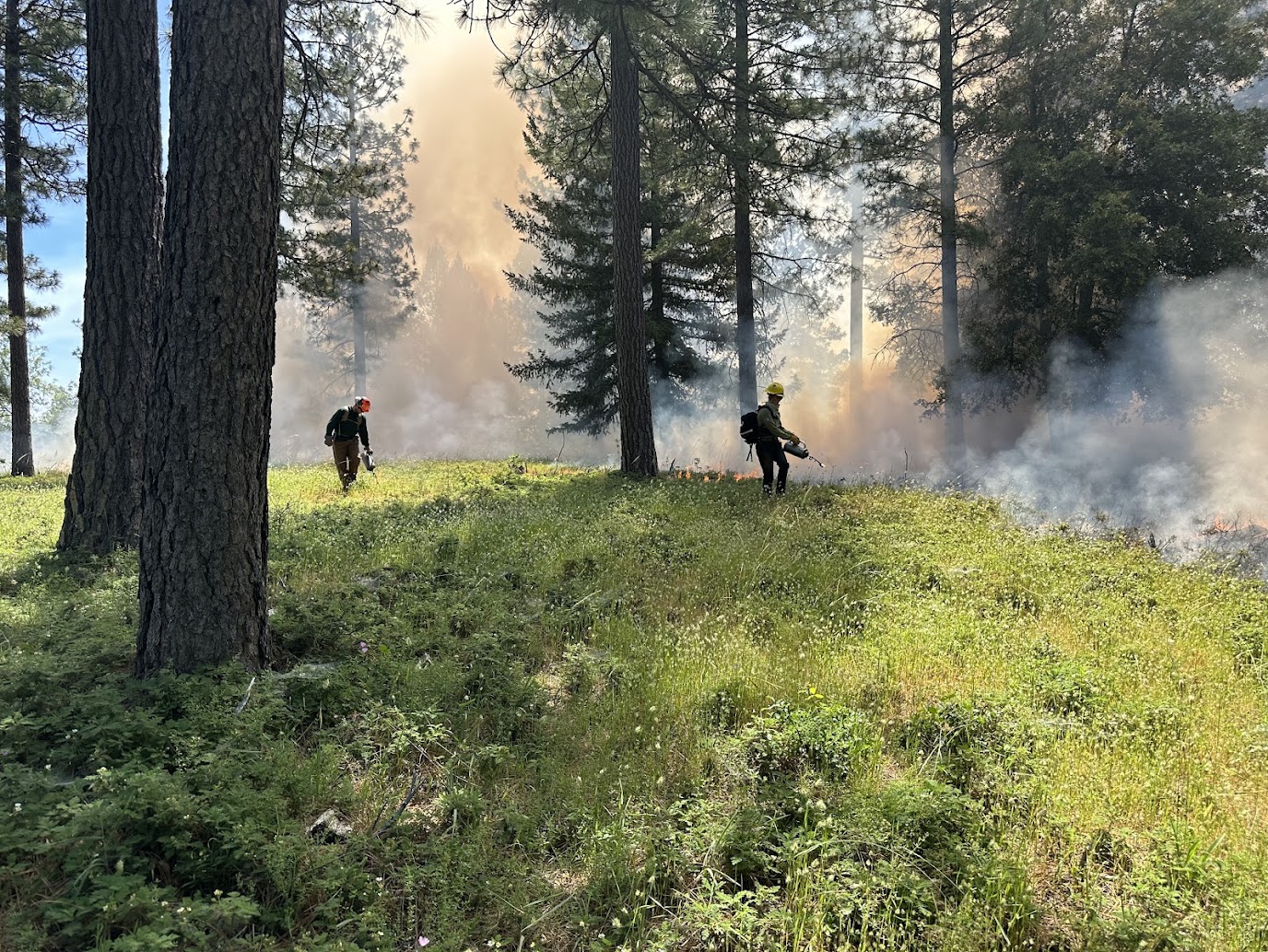 Community Burning on King Hill Ranch